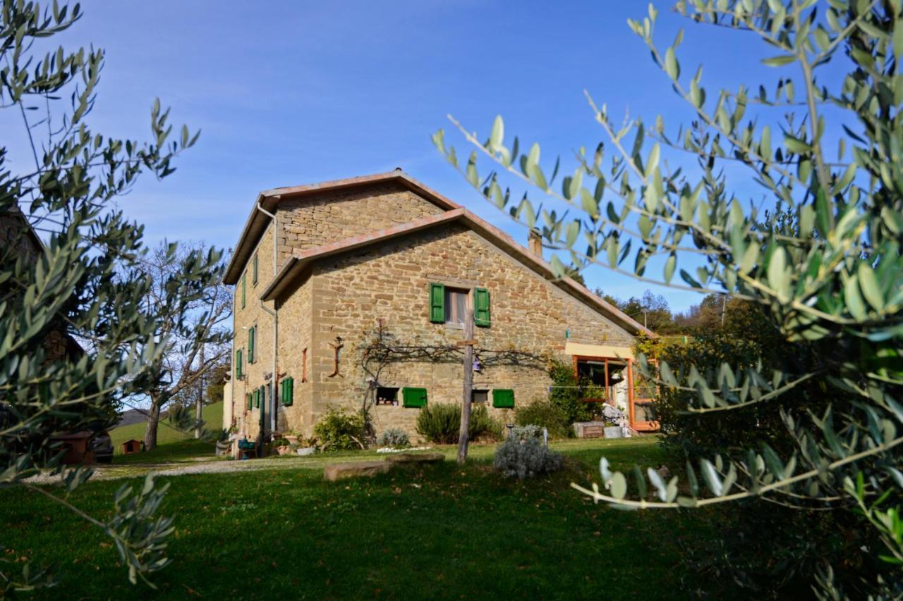 B&B Luna E Stelle Premilcuore Kültér fotó