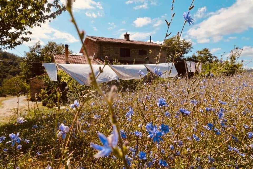 B&B Luna E Stelle Premilcuore Kültér fotó